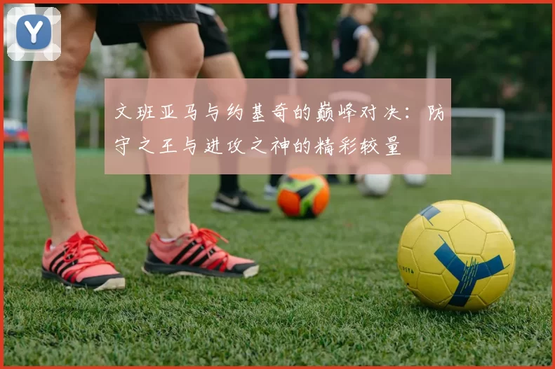 文班亚马与约基奇的巅峰对决：防守之王与进攻之神的精彩较量