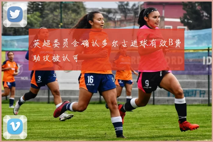 英超委员会确认多尔古进球有效B费助攻被认可